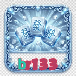 br133