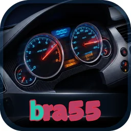 bra55